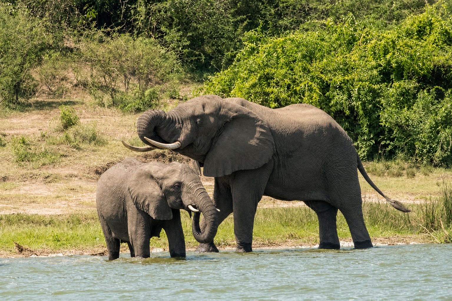 Best Time to Visit Uganda: Month by Month