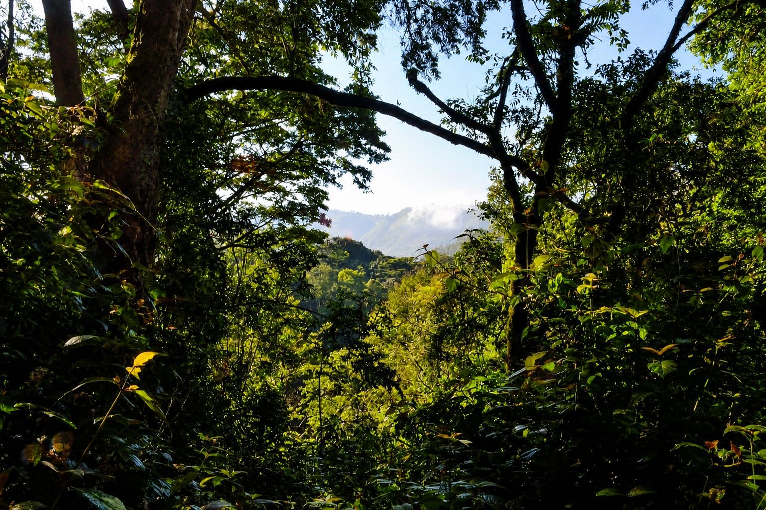 Kibale Chimpanzee & Crater Lakes