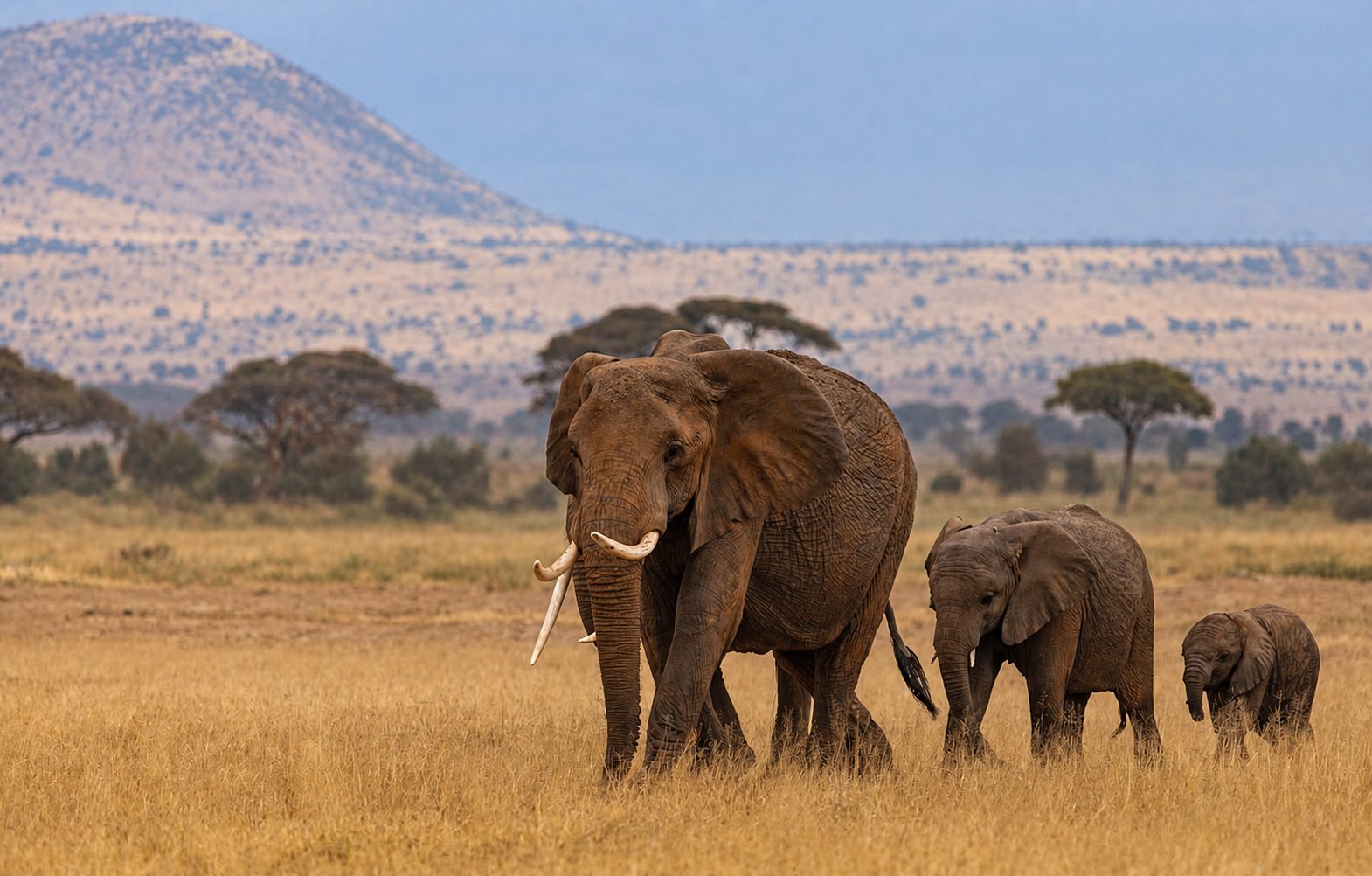 Kidepo Valley Wilderness