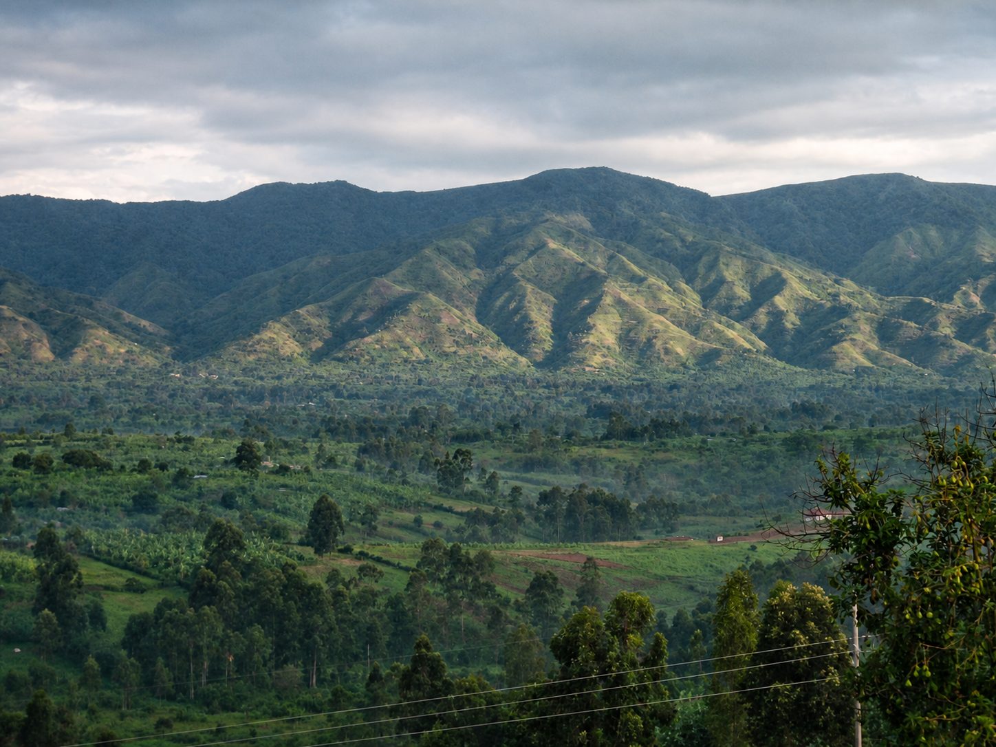 Rwenzori Mountains National Park