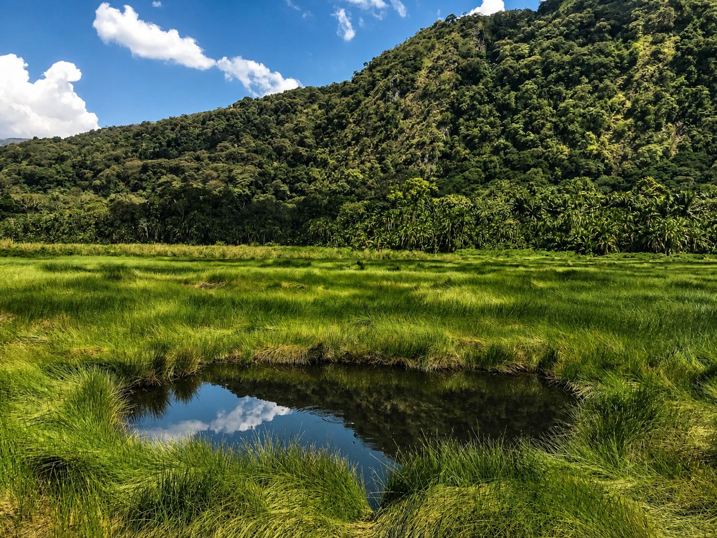 Semuliki National Park