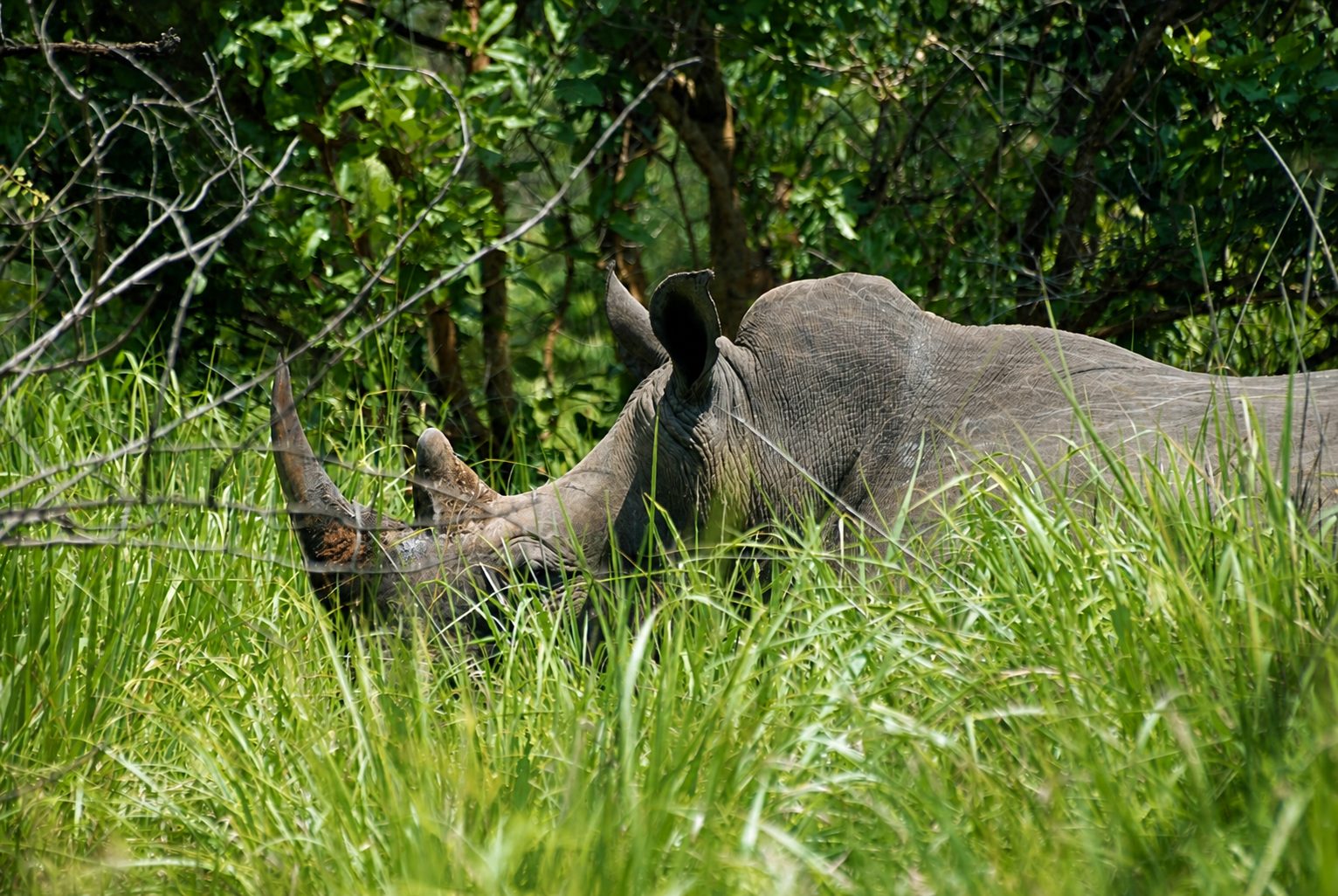 Ziwa Rhino Sanctuary